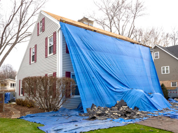 Best Stucco Siding  in Parchment, MI